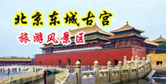 泰国女人与黑人乱交中国北京-东城古宫旅游风景区